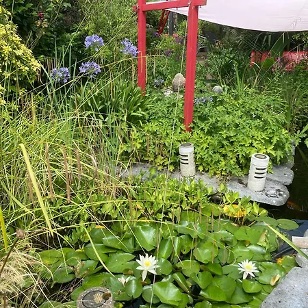 Domus26 Orientem 3* Montaigu-Vendee