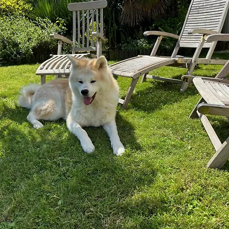Domus26 Orientem Konukevi