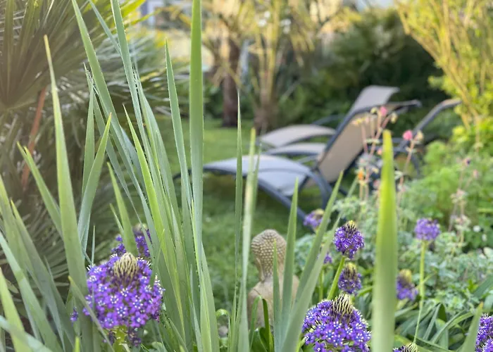 Gasthuis Domus26 Orientem