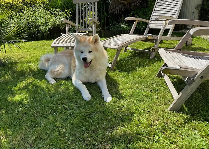 Domus26 Orientem Gasthuis